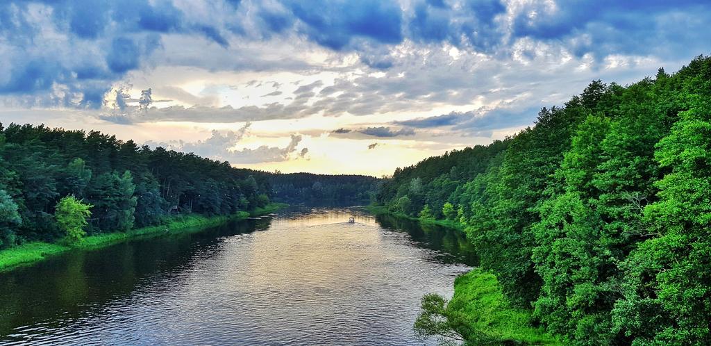 Willa Ausra Druskieniki Pokój zdjęcie